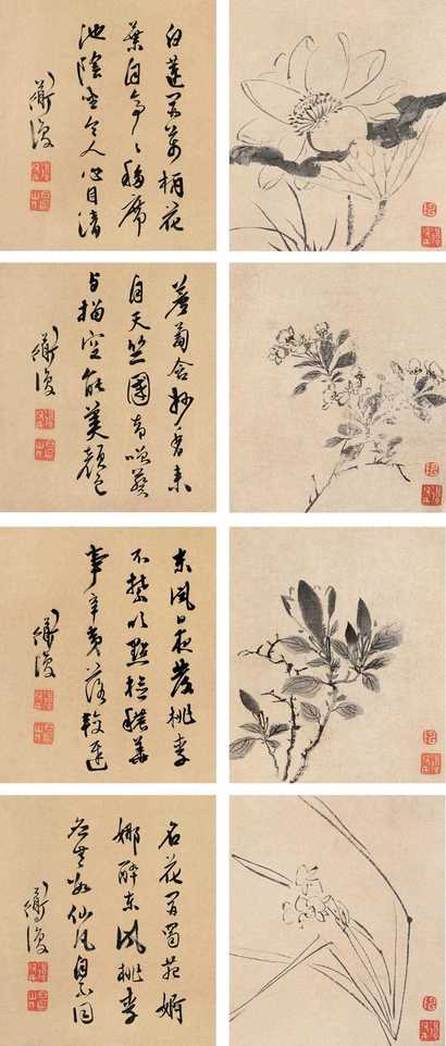 陈淳 花卉 册页（四开）